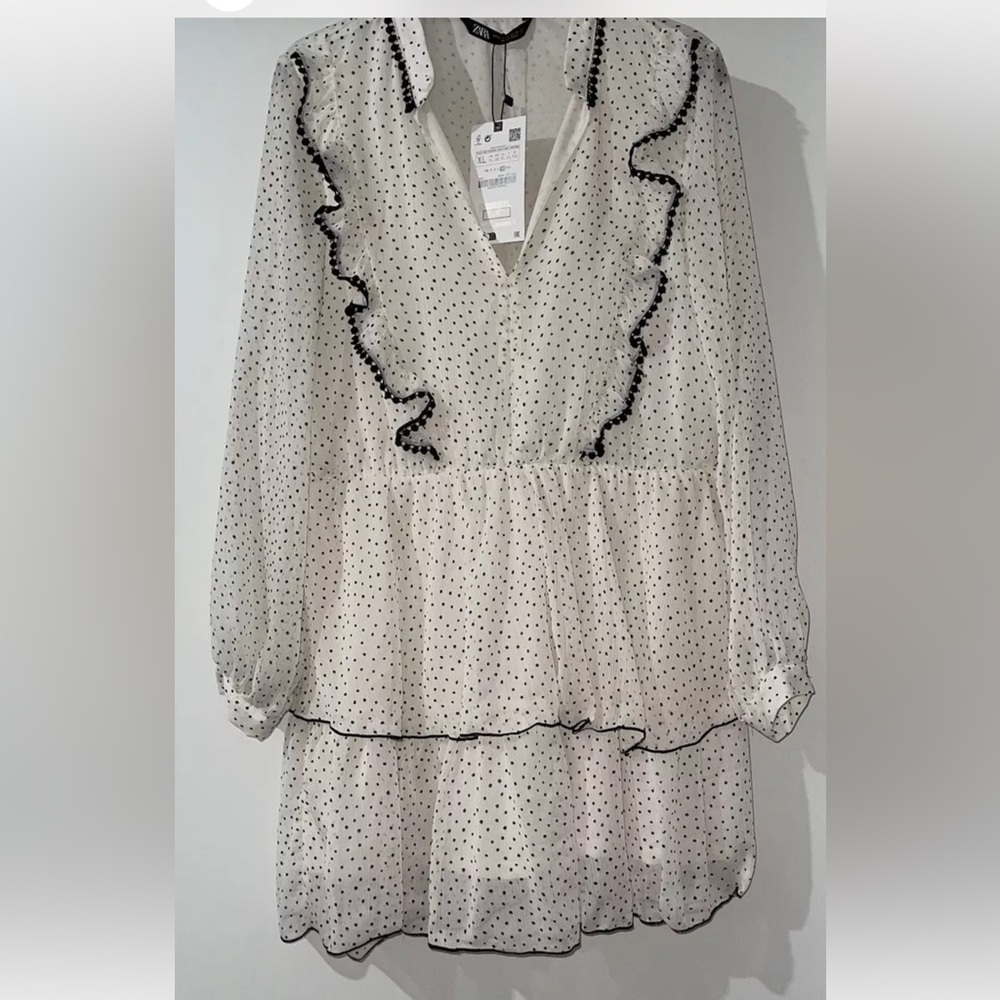 Polka Dot Sheer Blouse with Ruffle Detail